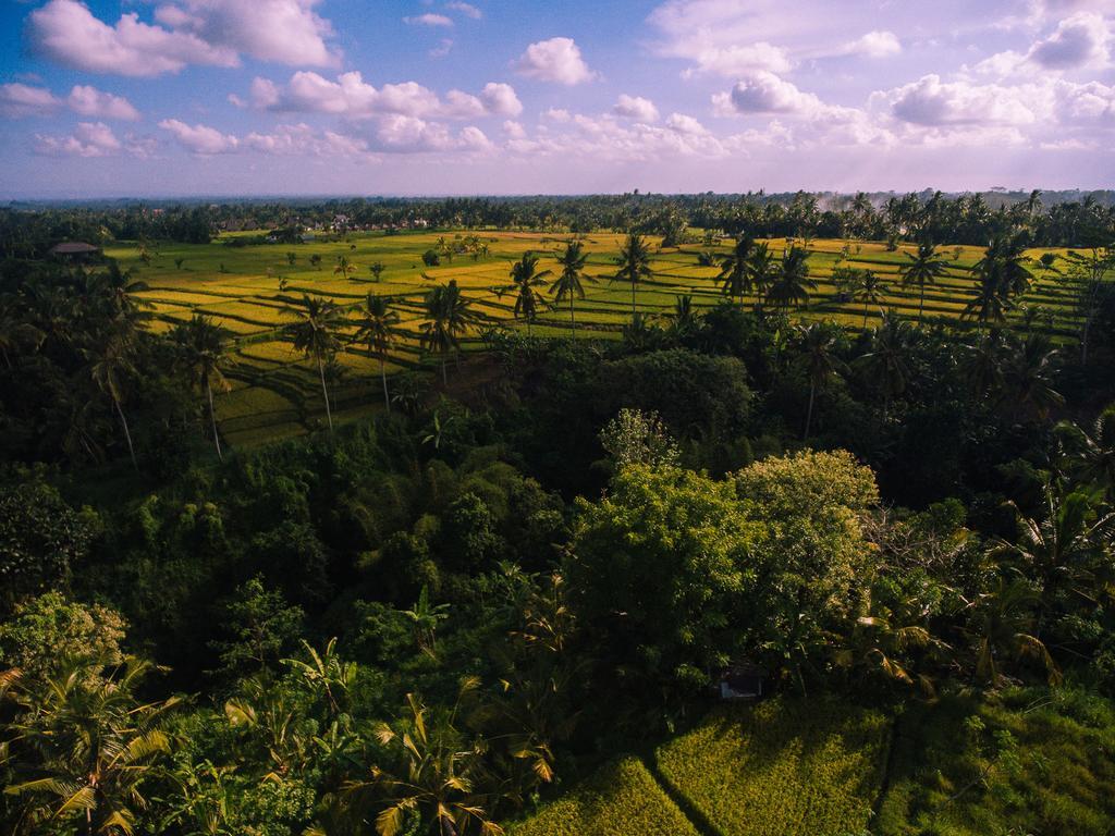 B Saya Villas Ubud Zewnętrze zdjęcie