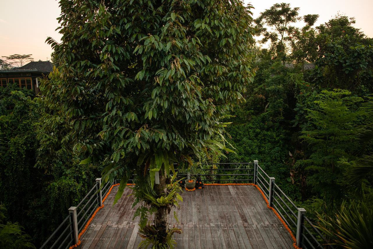 B Saya Villas Ubud Zewnętrze zdjęcie