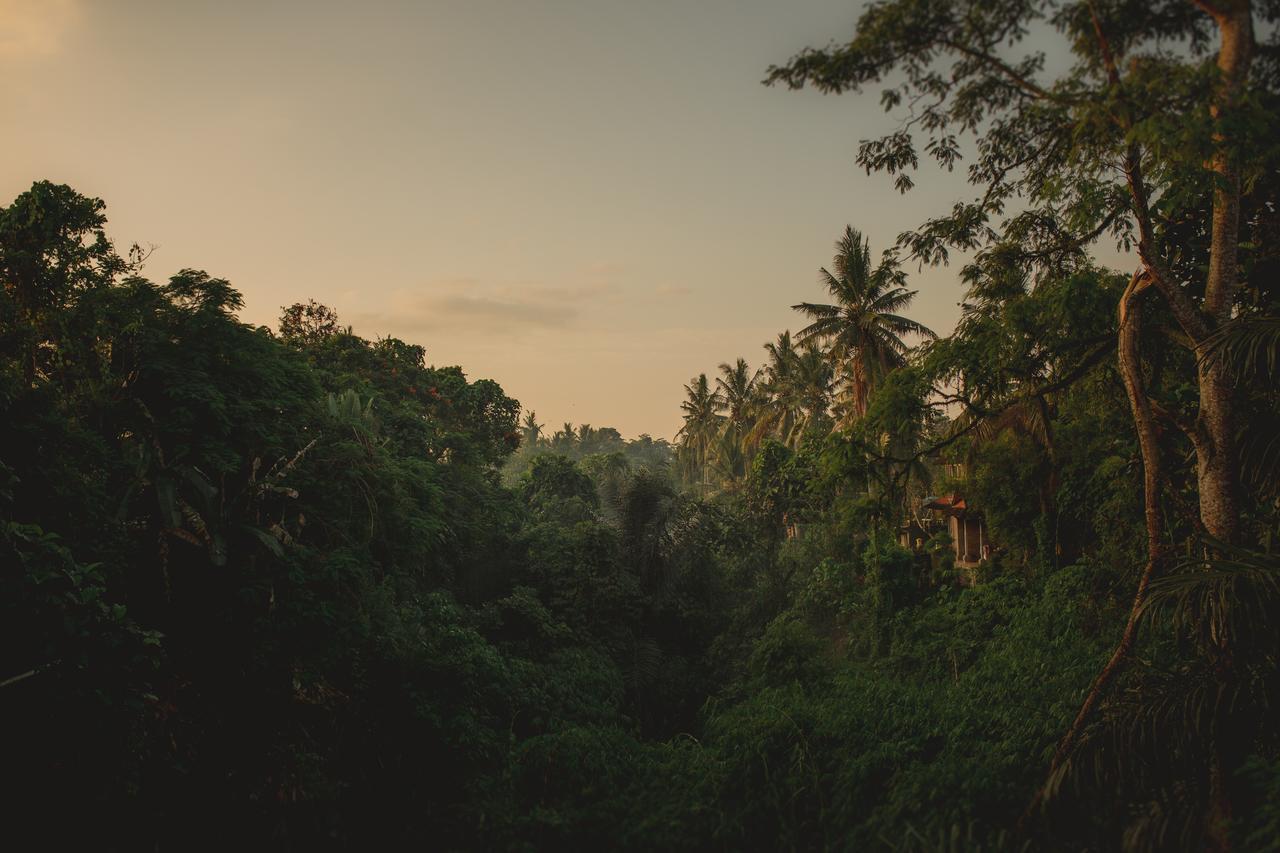 B Saya Villas Ubud Zewnętrze zdjęcie